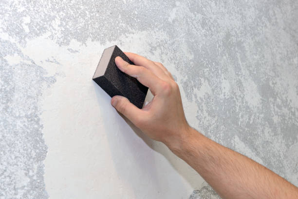 Best Post-Construction Mold Inspection  in Savoy, IL