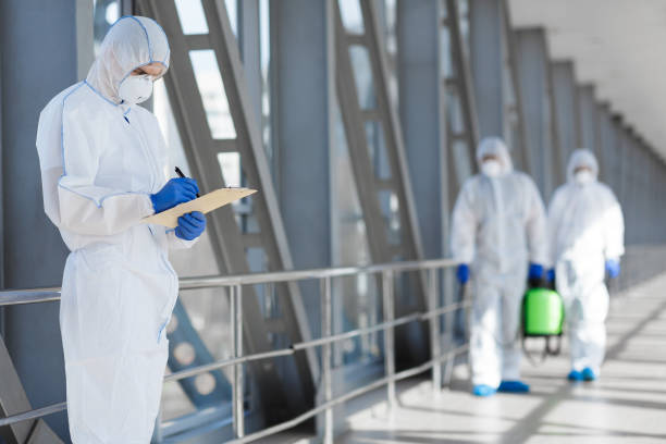 Best Industrial Mold Remediation  in Savoy, IL