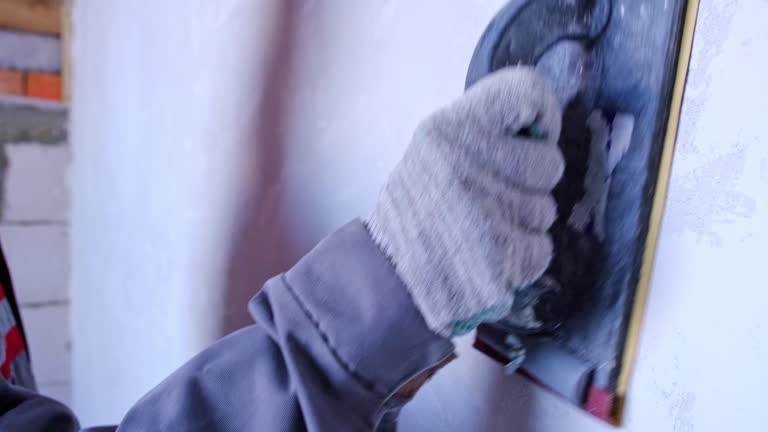 Best Mold Damage Restoration  in Savoy, IL