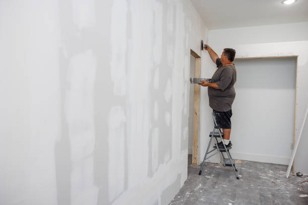 Best Real Estate Mold Inspection  in Savoy, IL