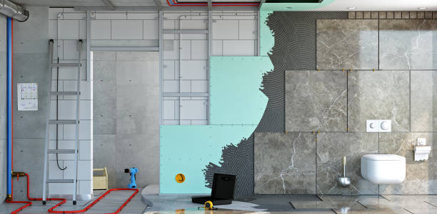 Best Mold Odor Removal Services  in Savoy, IL
