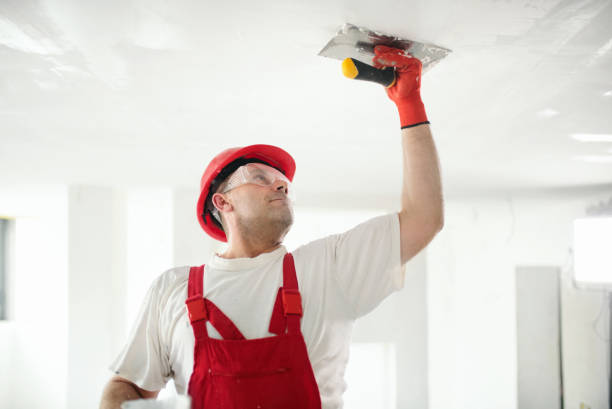 Best Air Quality Testing for Mold Spores  in Savoy, IL