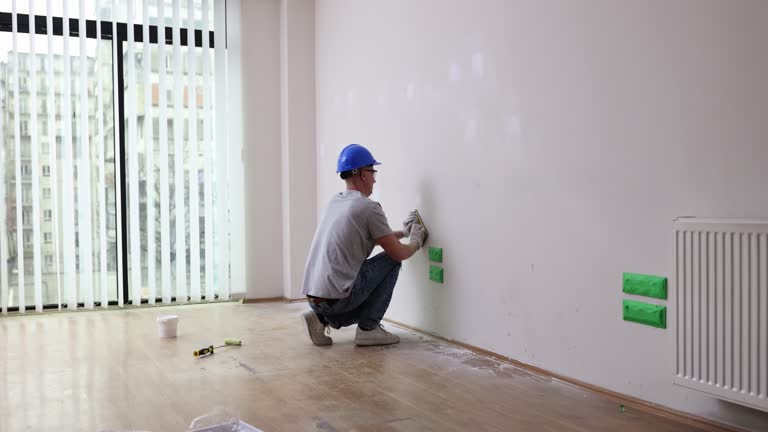 Best Industrial Mold Remediation  in Savoy, IL