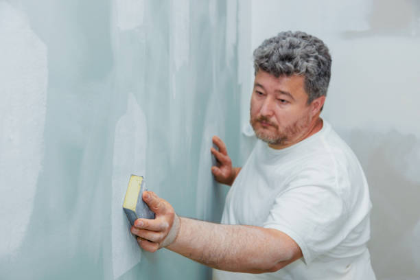 Mold Documentation for Insurance Claims in Savoy, IL