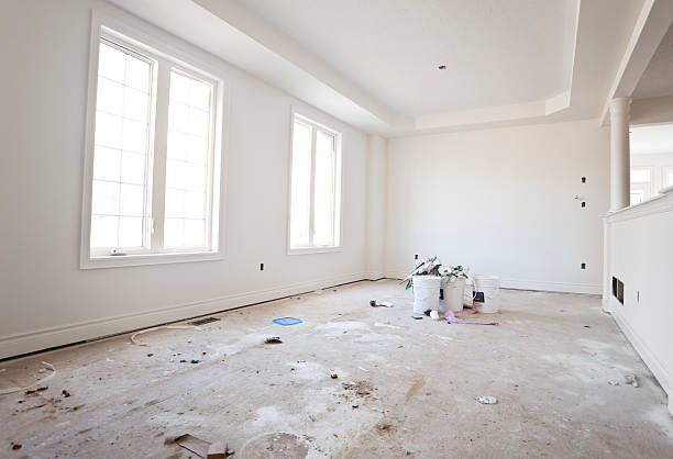Best Dehumidification Services  in Savoy, IL