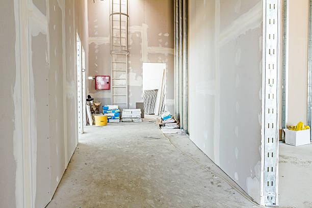 Best Attic Mold Removal  in Savoy, IL