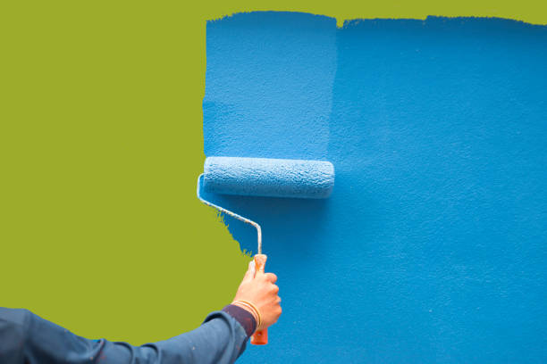 Trusted Savoy, IL Mold Removal Experts